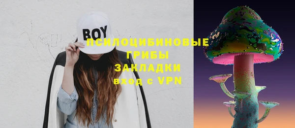 герыч Алексин