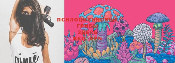 герыч Алексин